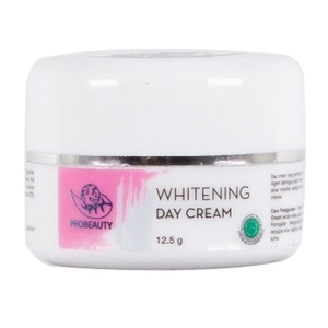 CEK BPOM Probeauty Whitening Day Cream