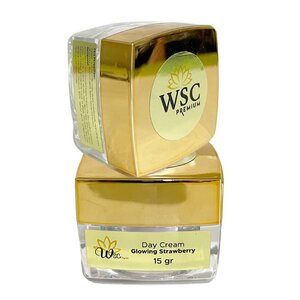 CEK BPOM WSC Premium Glowing Night Cream with Retinol