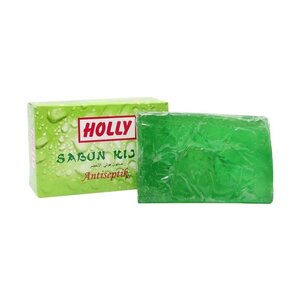 CEK BPOM Holly Sabun Hijau Antiseptik