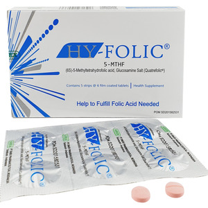 CEK BPOM Hy-Folic